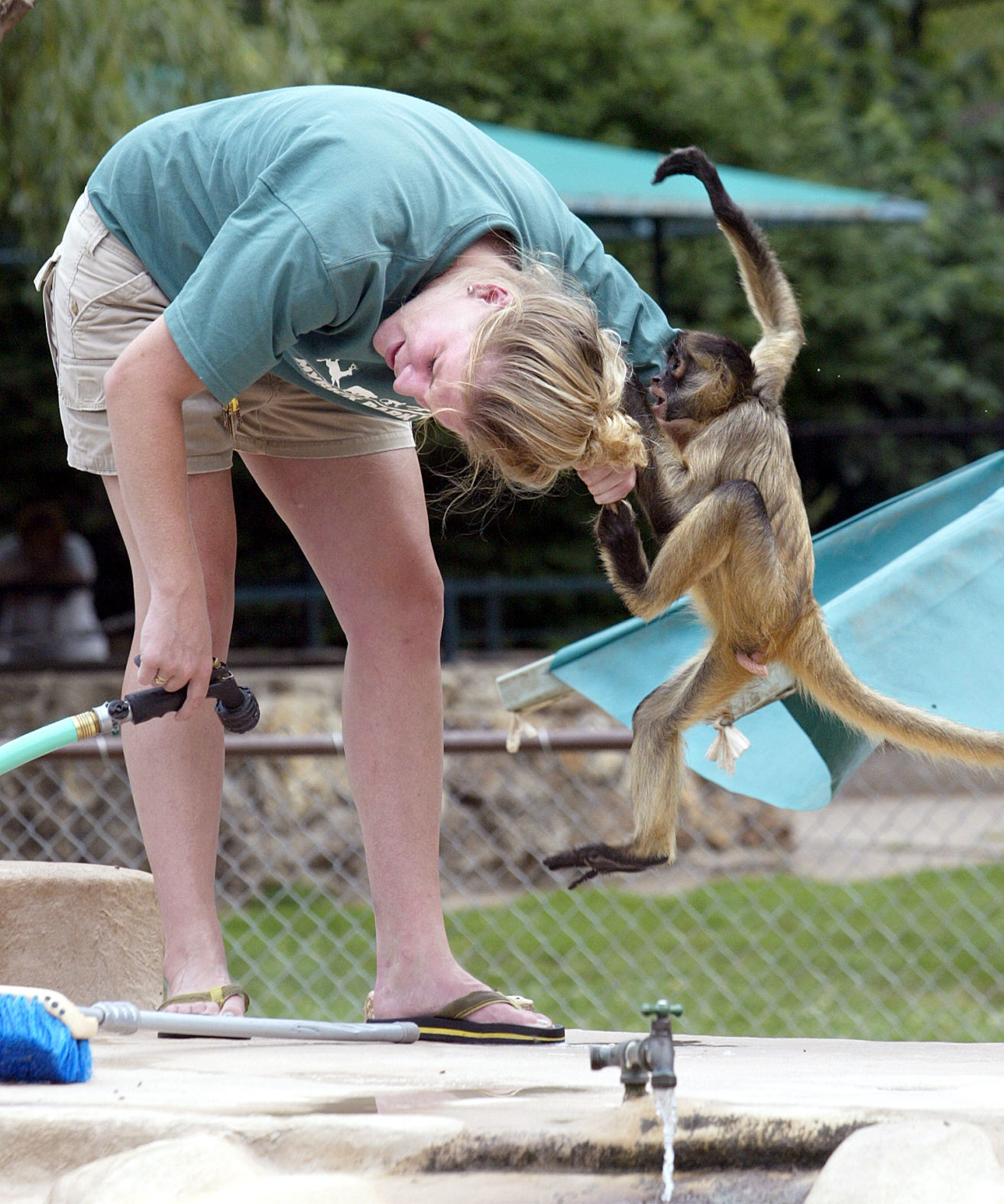 Myrick Park Zoo